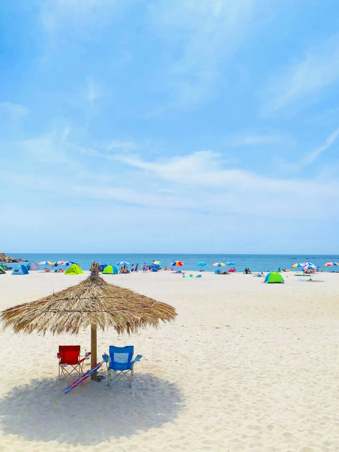 株式会社アルディ