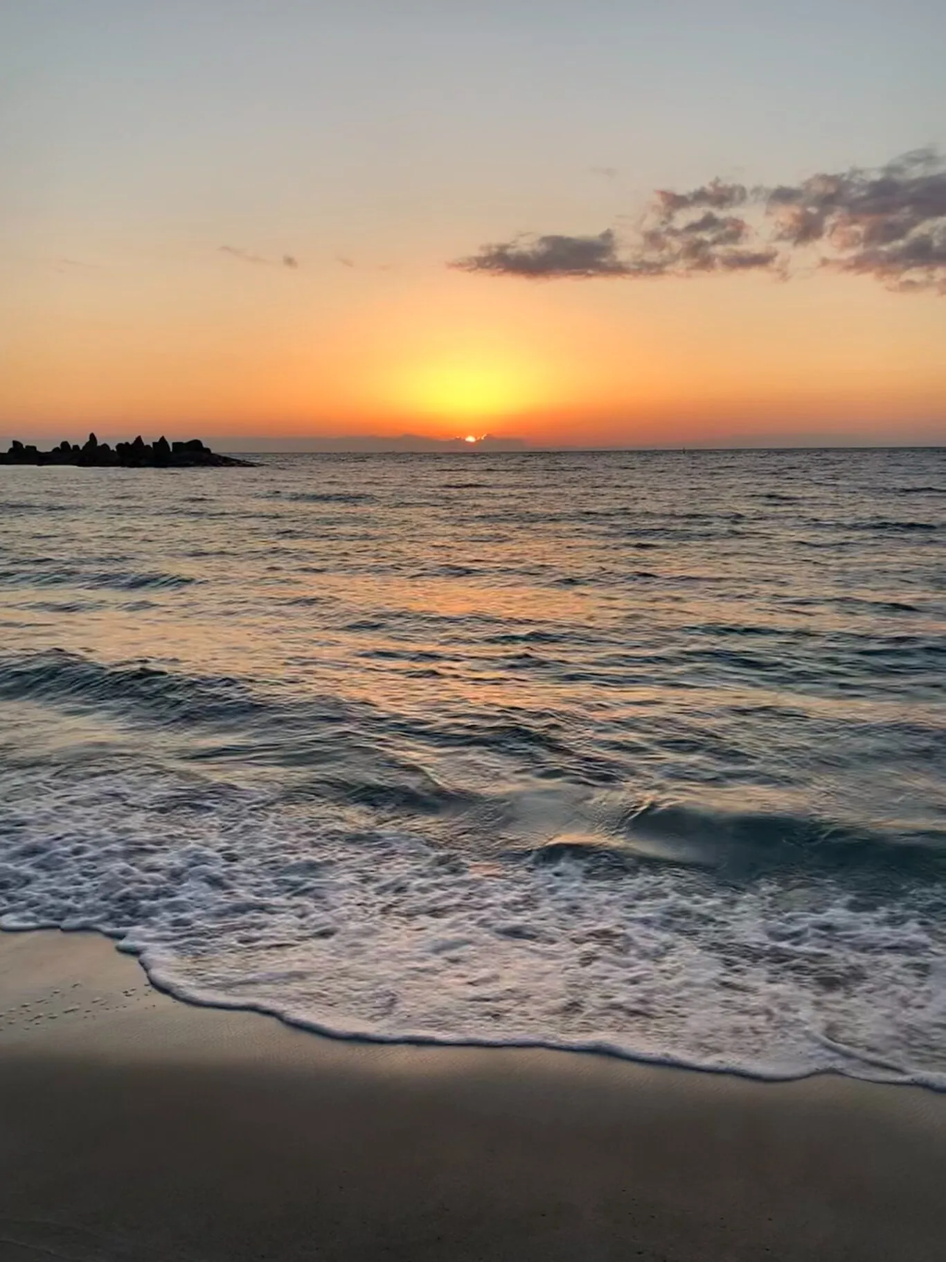 株式会社アルディ